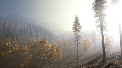 Golden leaves flutter in the breeze as warm sunlight pierces the morning mist, illuminating the tranquil forest. Pine trees stand tall against a backdrop of rolling hills and soft light.