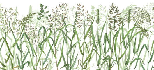 Wild grasses sketched seamless border © Marina Gorskaya