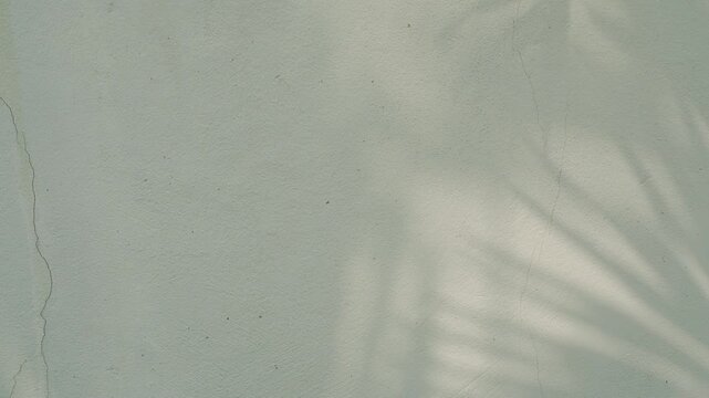 Shadow palm leaves abstract backdrop, beige background, summer naturedesert, template travel luxury design wallpaper surface display for presentation product cosmetic, minimalist pattern