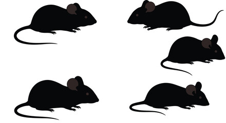 Seamless pattern of elegant black cat silhouettes in various dynamic poses, including jumping, sitting, and walking, artistically arranged on a crisp white background, ideal for pet-themed textiles, p