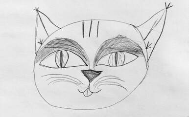 Childs Pencil Sketch of a Cat Portrait