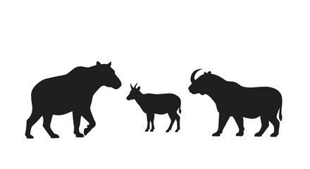 horses on a white background