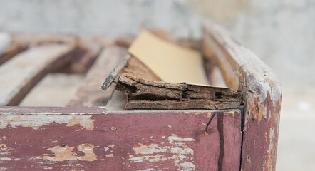 Close-up of a weathered wooden surface with peeling paint and exposed layers,