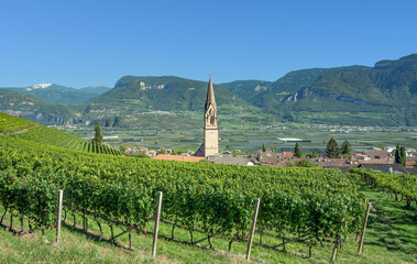 Wine Village of Tramin an der Weinstrasse resp.Termeno sulla strada del vino,Trentino-South Tyrol,Italy