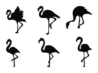 Flamingo Silhouette Set. Tropical Bird Vector Collection