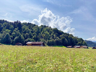 Landscape of lush summer vegetation of an alpine meadow surrounding a mountain settlement at the foot of a dense forest on a clear sunny day.