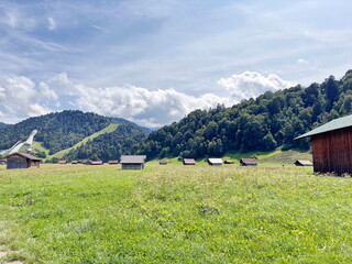 Landscape of lush summer vegetation of an alpine meadow surrounding a mountain settlement at the foot of a dense forest on a clear sunny day.