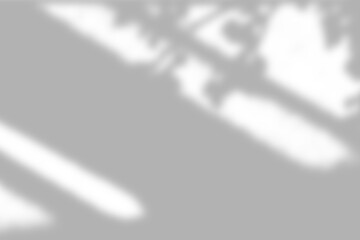 Window shadows cast on a white surface with a soft light effect.