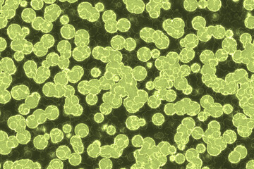 Fake Shape of bacterial cell: cocci. Molecular research microorganisms. microbiology scientific medicine illustration