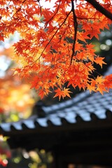 Vibrant autumn leaves against a blurred traditional Asian roof