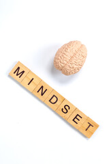 Brain Symbolizing Intelligence and Growth Mindset Concept