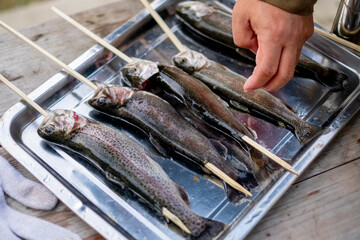 釣ったニジマスを串に刺す