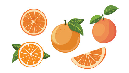 Tropical Orange Variety with Leafy Citrus Slices in Flat Vector Art for Organic and Summer Design