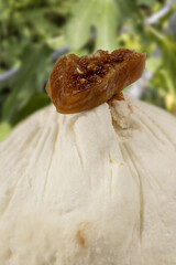 Macro shot of a piece of fig on a goat's cheese with fig trees in the background