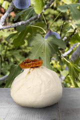Fig flavoured goats cheese with figs on a background of fig leaves and fig trees