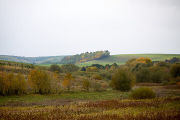 Autumn landscape with colorful fall foliage, trees, and meadows on a cloudy day, showcasing the beauty of rural nature and capturing the serene atmosphere of the season