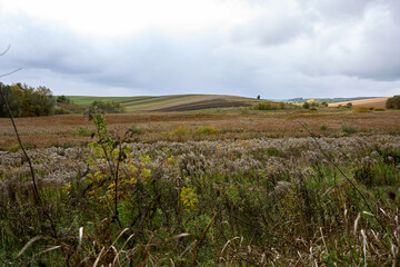 Obraz premium Overcast landscape of rural fields with goldenrod and diverse vegetation in the foreground offers a serene view under a cloudy sky, suggesting tranquility of late autumn.