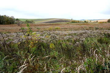 Fototapeta premium Scenic autumn landscape with colorful agricultural fields, meadows, trees on hills and cloudy sky, tranquil rural nature scenery, late october season.