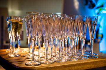 Row of champagne glasses filled with sparkling wine arranged on wooden table under warm light. Elegant setup for festive event or wedding celebration with luxurious atmosphere.
