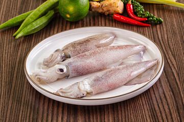 Raw wild calamari for cooking