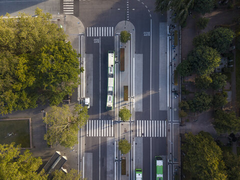 Aerial view of trams gliding through the city's veins, bordered by verdant trees and crisp pedestrian crossings, Malmo, Skane County, Sweden.