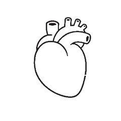 Contrast of two anatomical hearts highlights dual symbolic medical meanings.