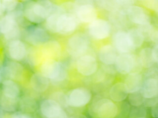 木漏れ日と木々の葉の輝きの様子。ふんわりやわらかい大きな玉ボケ。爽やかな光の風景。ぼんやりした心象風景。自然風景素材。