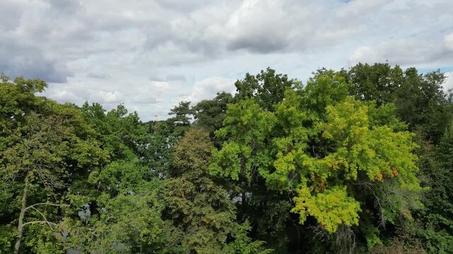 view over the city zwickau with pond in saxony east germany