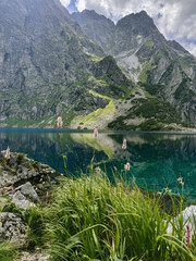 mountain lake in the mountains, Tatras mountains 