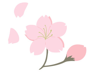 桜 主線なし