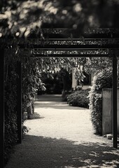 Black and white garden path, archway