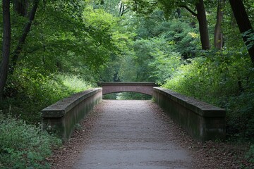 Naklejka premium Park path with arch bridge. Lush greenery surrounds a paved path