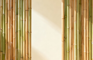 Obraz premium Bamboo Stalks Framing a Neutral Wall with Sunlight for a Minimalist and Zen Aesthetic