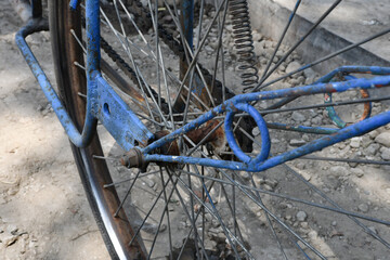 Old Bicycle Wheel Close-Up