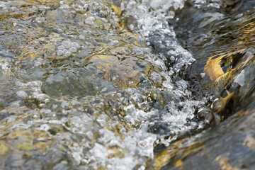  秋の川　清流の流れのアップ91