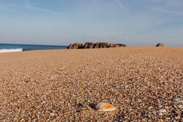 Pebble-covered coastal beach with calm waters and distant rocks on the horizon.
