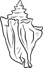 Hand drawn clipart illustration of seashell shell mollusc seaside shellfish 