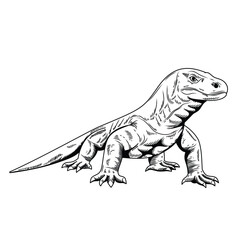 Komodo dragon animal vintage handdrawn style