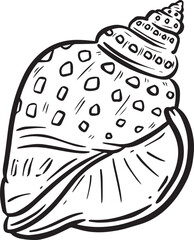 Hand drawn clipart illustration of seashell shell mollusc seaside shellfish 