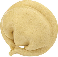 Single dumpling isolated