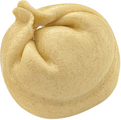 One meat dumpling isolated