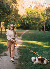 Fototapeta premium A girl walks in an autumn park with a Cavalier Spaniel, friendship with a pet, joy, fresh air, walk. Walking a Cavalier Spaniel on a leash