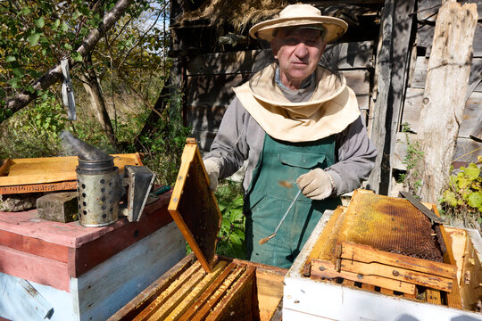 Beekeeper examining a honeycomb frame, dressed in protective suit, uses a smoker to calm the bees in the apiary, beekeeping concept during honey harvesting, working with bees, outside shot
