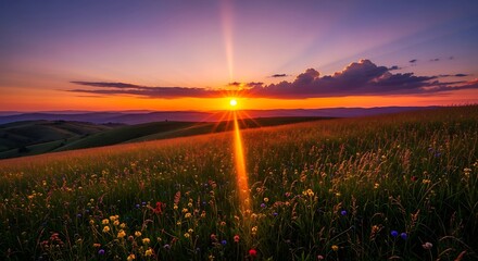  A vibrant sunset over rolling green hills, with the sun's rays bursting over a wildflower meadow, bathing the scene in intense orange and purple light.