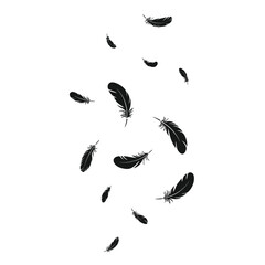 Black feathers falling gracefully against a white background © motiur vector artist