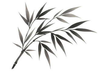 Naklejka premium Bamboo branch with delicate leaves in grayscale, presenting a serene botanical element. Transparent background