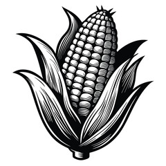 Bold monochrome shows an ear of maize surrounded by detailed husk leaves