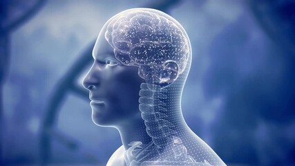 Translucent human head with glowing intricate red-blue wireframe hologram brain. 3d render animation 4k - Powered by Adobe