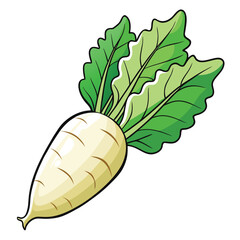 Fresh daikon radish with vibrant green leaves is isolated on a white background