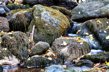 Otoño en el arroyo de la Dehesa